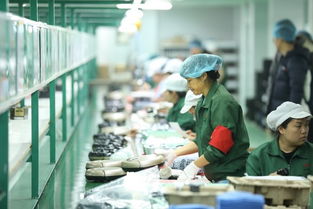 拼多多賦能“拼工廠”，深圳試點透明化生產(chǎn)，麥秸畫傳統(tǒng)工藝觸網(wǎng)新生